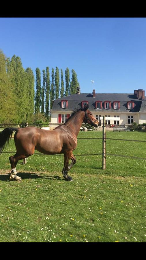 Le Domaine De Barbizon Otel Saint-Martin-en-Bière Dış mekan fotoğraf