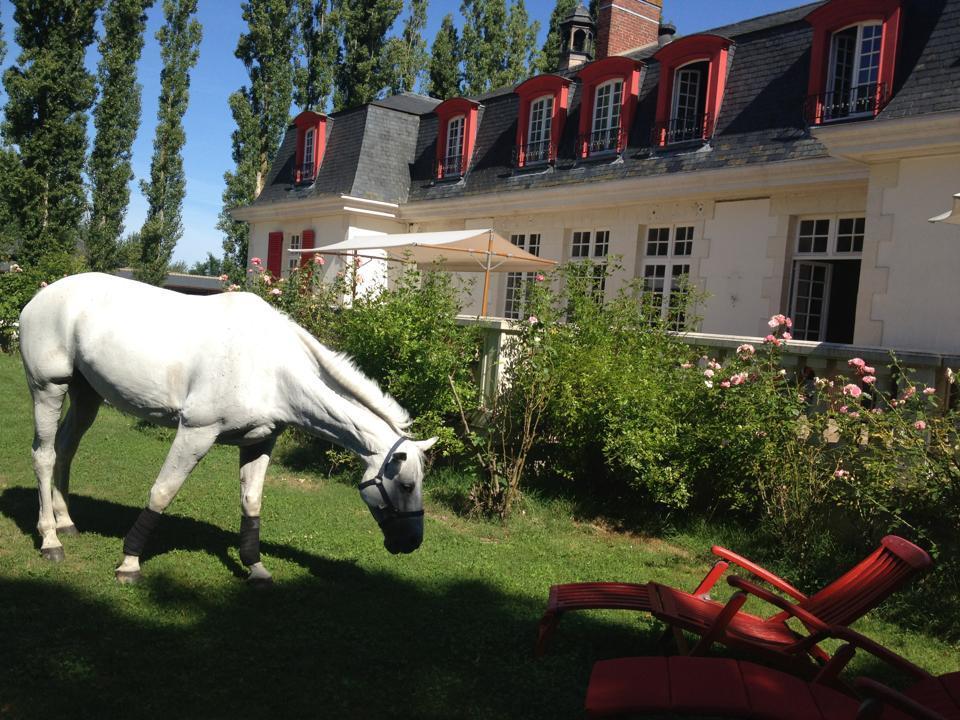 Le Domaine De Barbizon Otel Saint-Martin-en-Bière Dış mekan fotoğraf